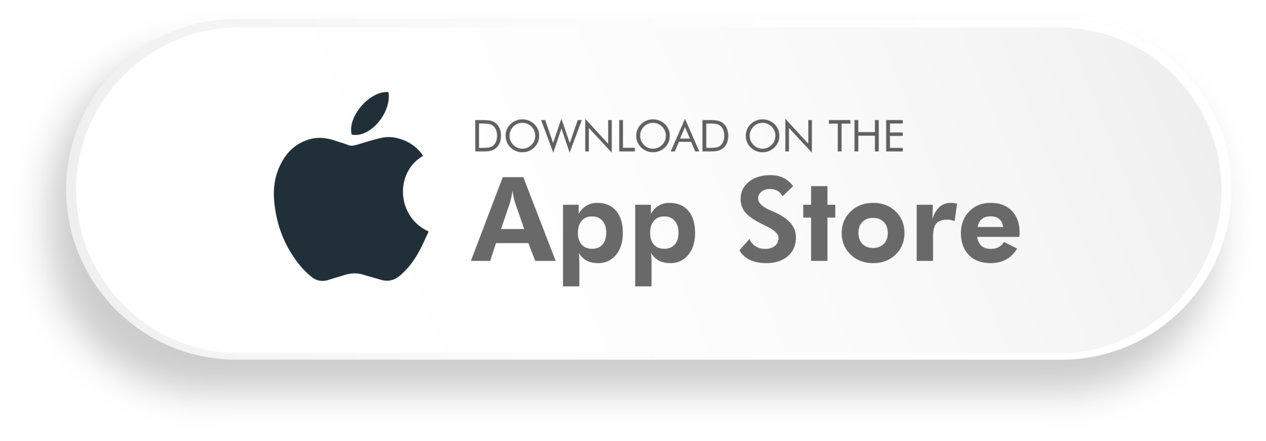 Apple App Store